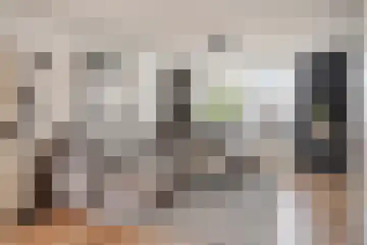 Vlinderstraat 25 Oss thumbnail 4