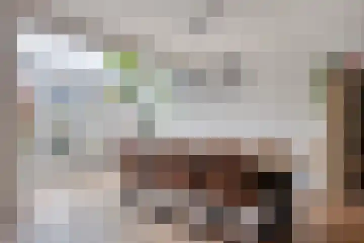 Vlinderstraat 25 Oss thumbnail 7