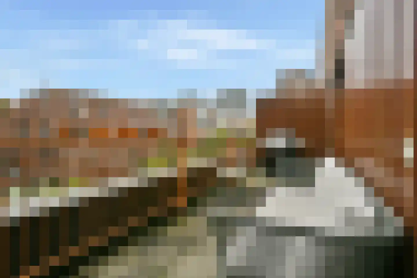 Vlinderstraat 36 C Rotterdam thumbnail 19