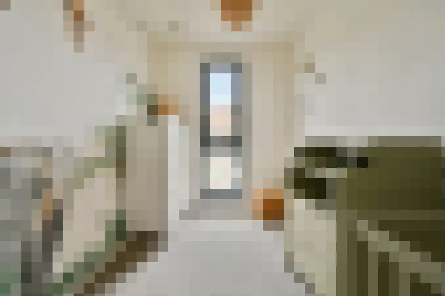 Vlinderstraat 36 C Rotterdam thumbnail 27