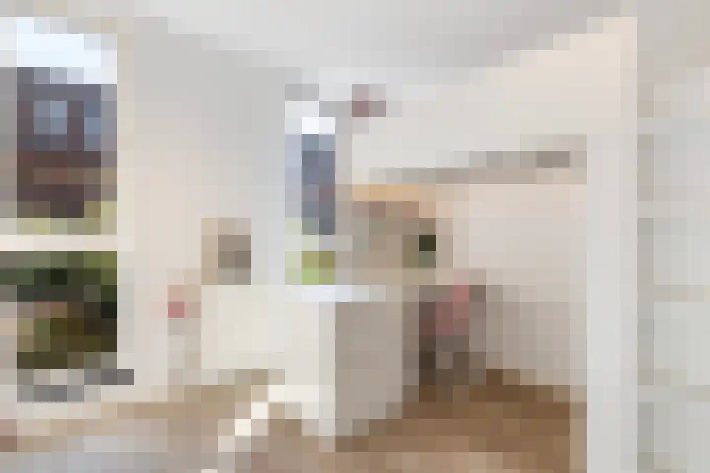 Vlinderstraat 4 B Rotterdam thumbnail 21