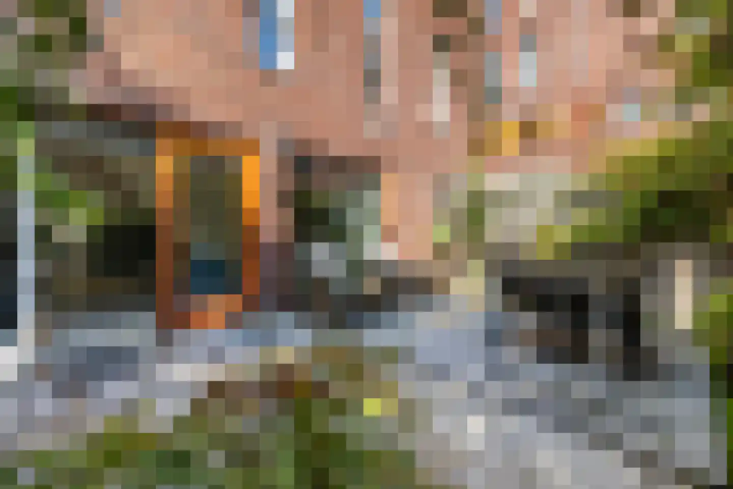 Vlinderstraat 4 B Rotterdam thumbnail 27
