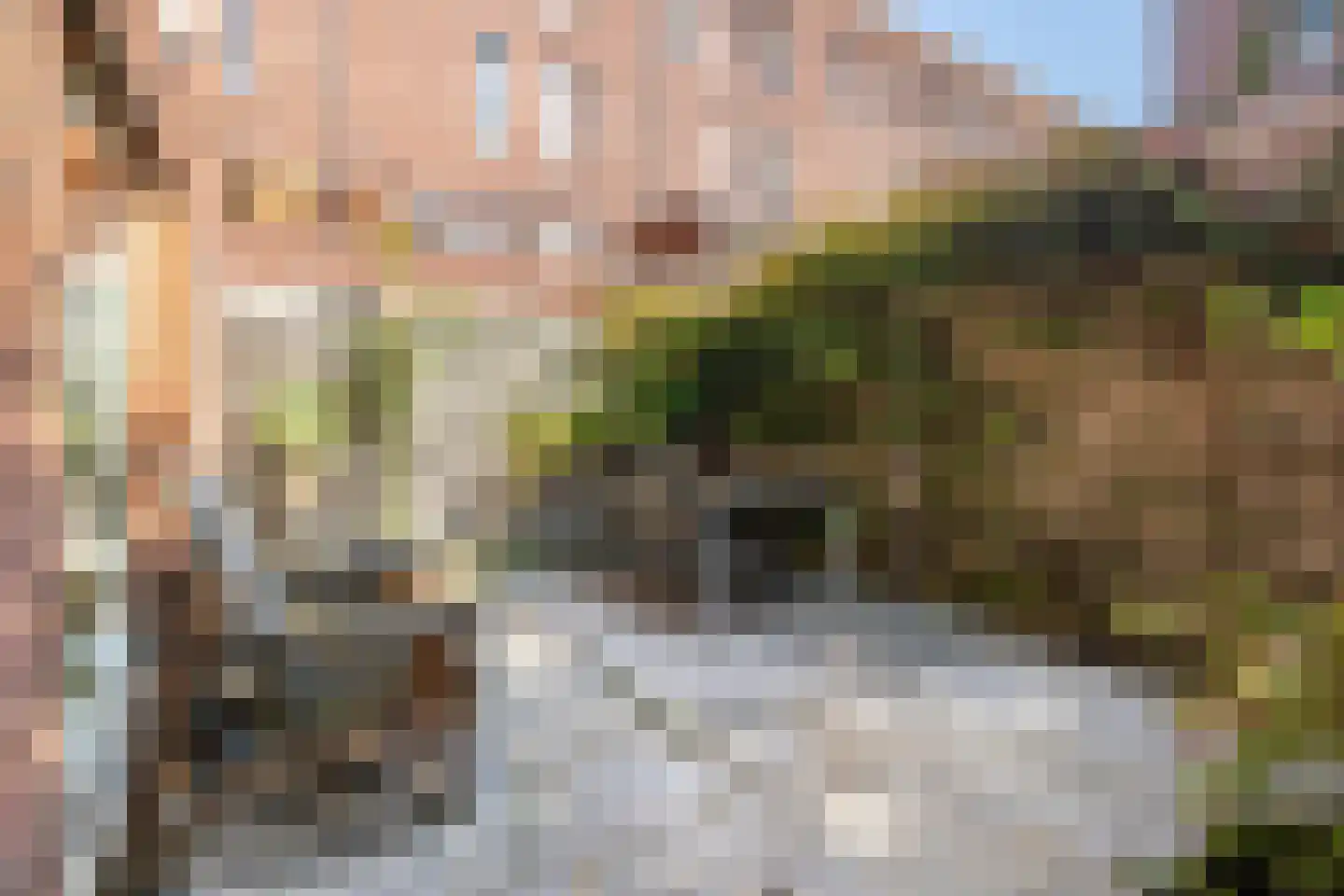 Vlinderstraat 4 B Rotterdam thumbnail 29
