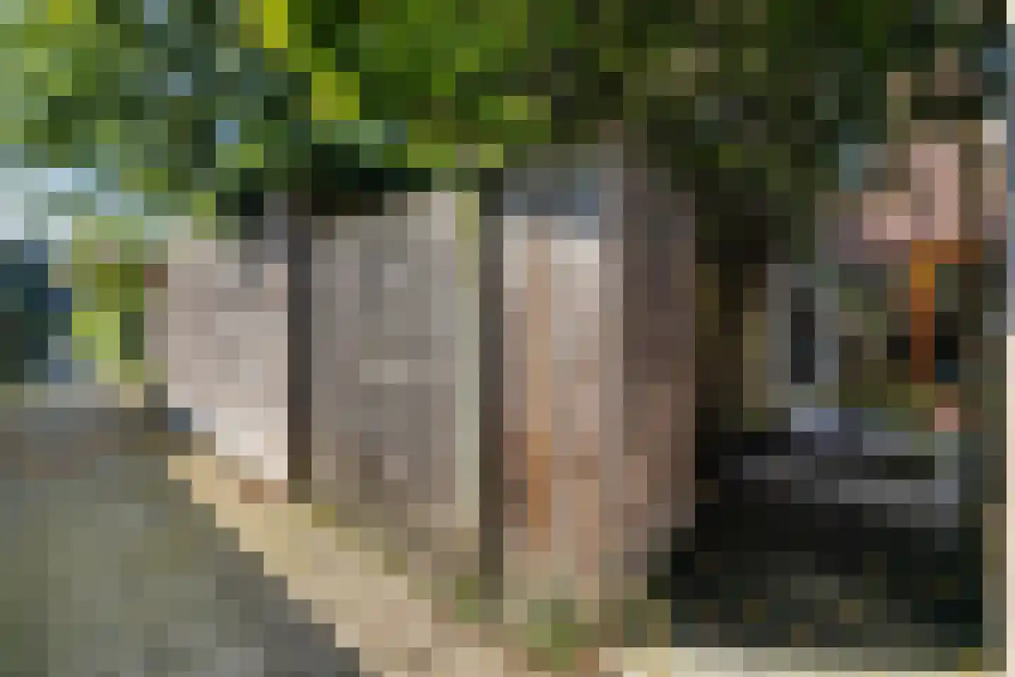 Vlinderstraat 4 B Rotterdam thumbnail 30