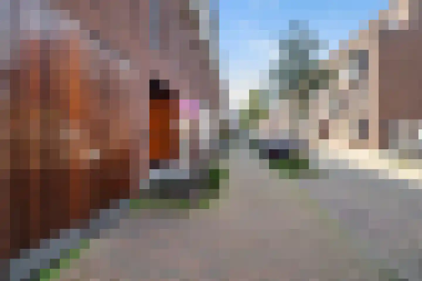 Vlinderstraat 4 B Rotterdam thumbnail 33