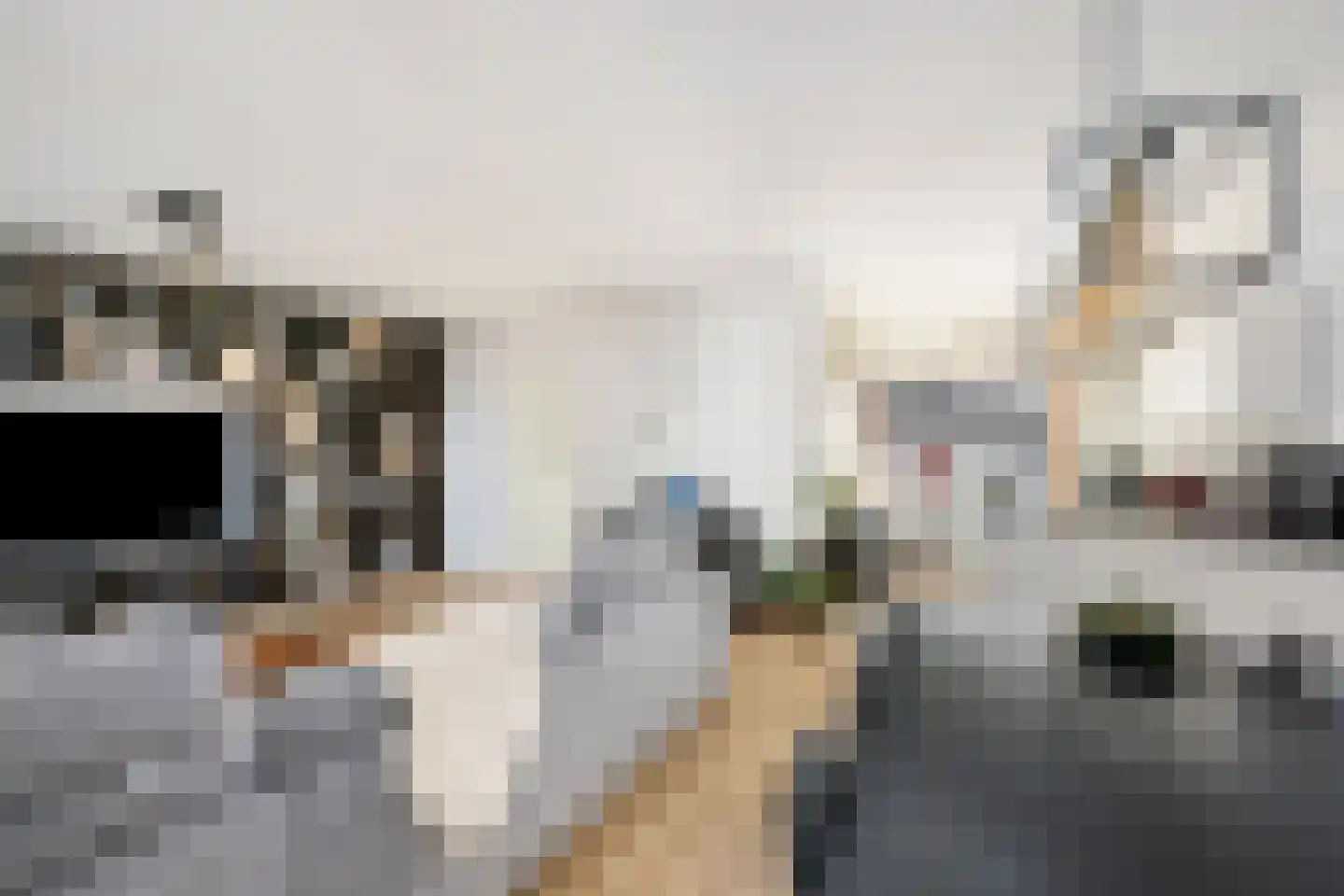 Vlinderstraat 4 B Rotterdam thumbnail 7