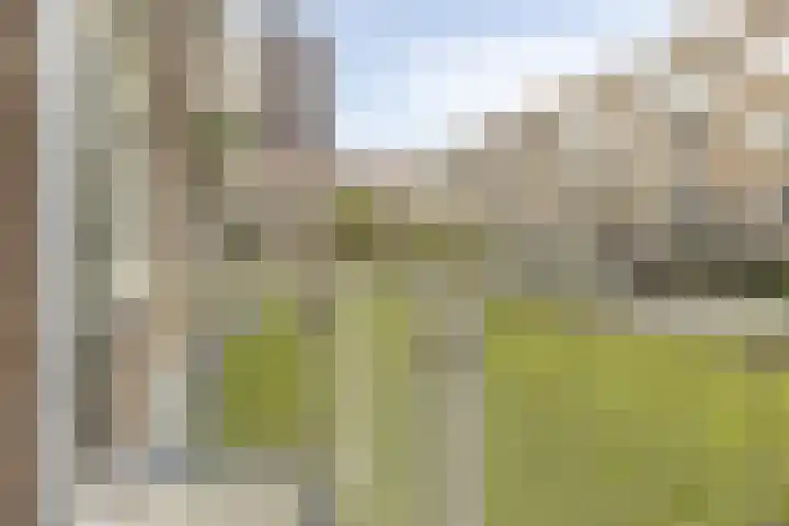 Vlinderstraat 43 B Rotterdam