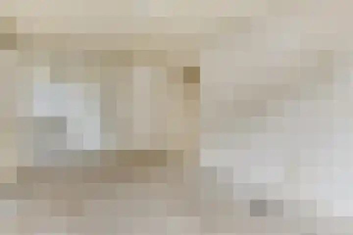 Vlinderstraat 43 B Rotterdam thumbnail 16