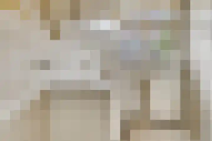 Vlinderstraat 43 B Rotterdam thumbnail 19