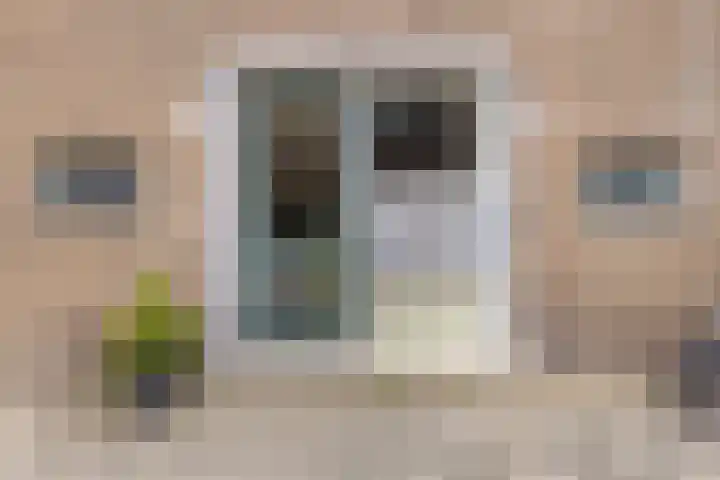 Vlinderstraat 43 B Rotterdam foto 2