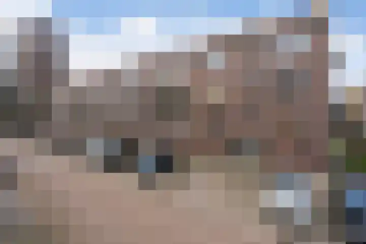 Vlinderstraat 43 B Rotterdam thumbnail 5