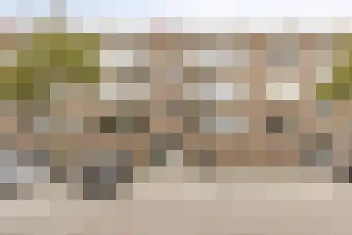 Vlinderstraat 43 B Rotterdam thumbnail 5