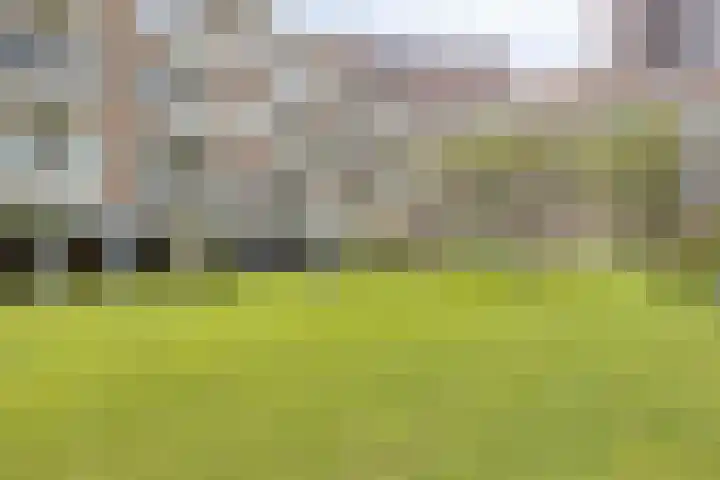 Vlinderstraat 43 B Rotterdam thumbnail 7