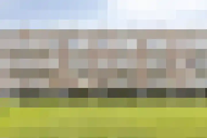 Vlinderstraat 43 B Rotterdam thumbnail 8