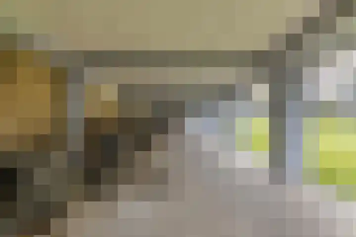 Vlinderstraat 43 B Rotterdam thumbnail 9