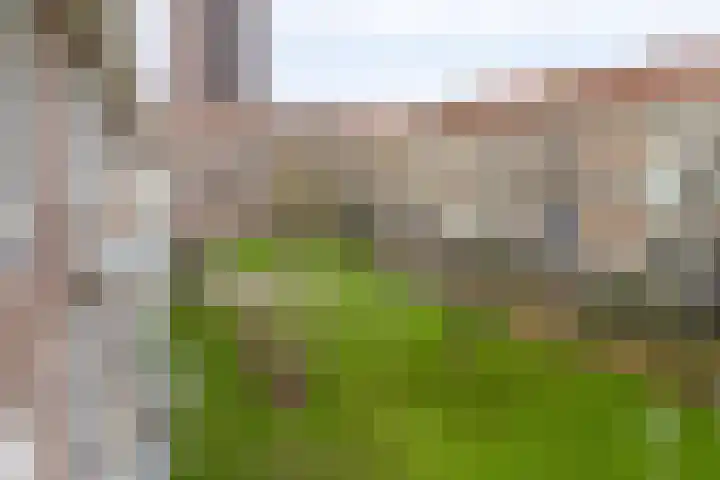 Vlinderstraat 45 A in Rotterdam