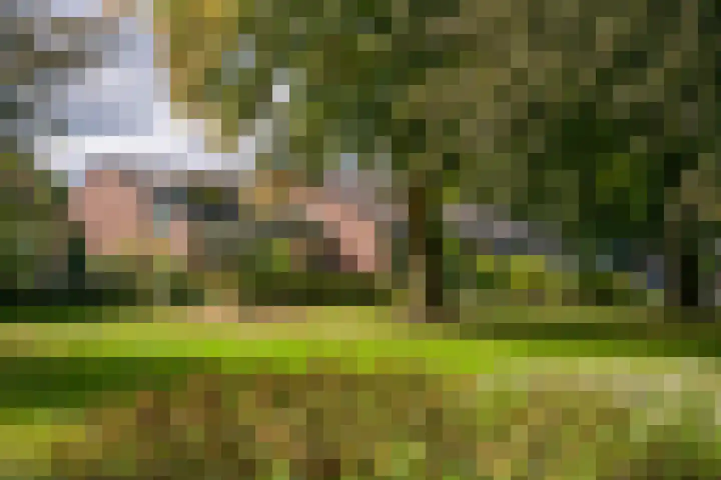 Vlinderstraat 47 Beekbergen thumbnail 22
