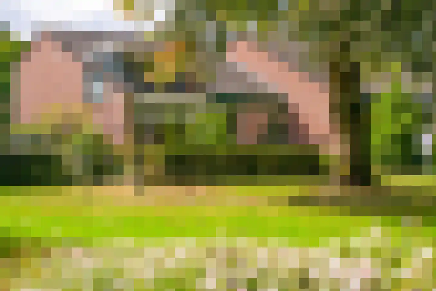 Vlinderstraat 47 Beekbergen thumbnail 23
