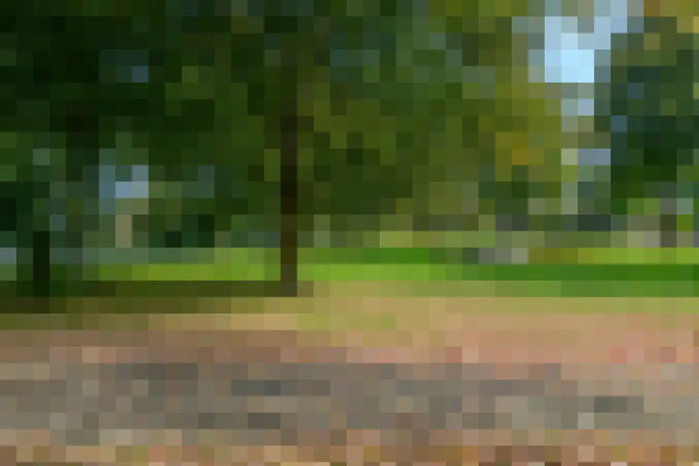 Vlinderstraat 47 Beekbergen thumbnail 5