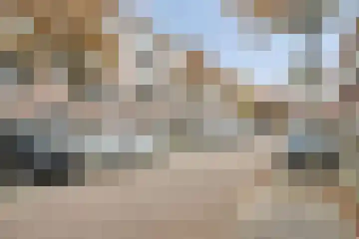 Vlinderstraat 49 A Rotterdam thumbnail 32