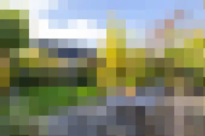 Vlinderstraat 67 Beekbergen thumbnail 4