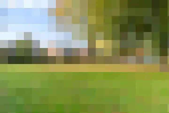 Vlinderstraat 67 Beekbergen thumbnail 5