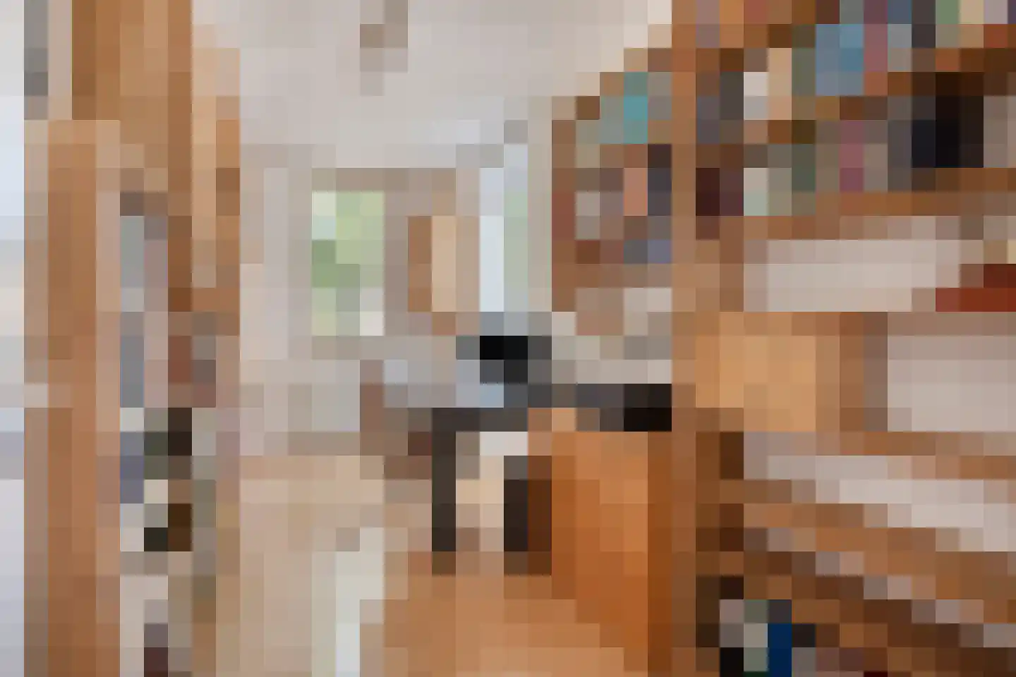 Vlinderstraat 93 Oss thumbnail 10