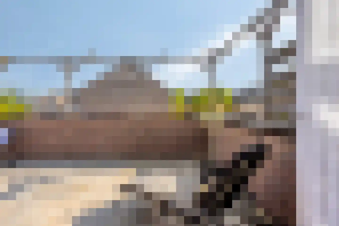 Vlinderstraat 93 Oss thumbnail 13