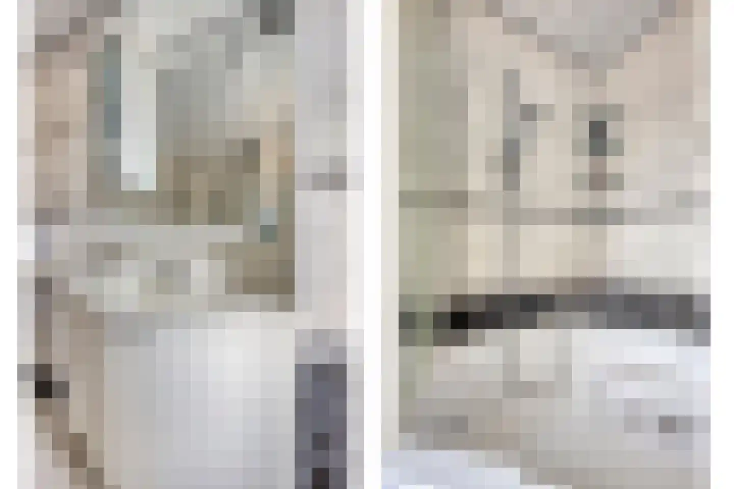 Vlinderstraat 93 Oss thumbnail 15