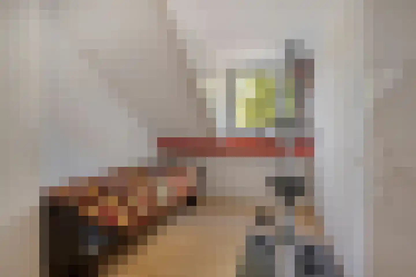 Vlinderstraat 93 Oss thumbnail 19