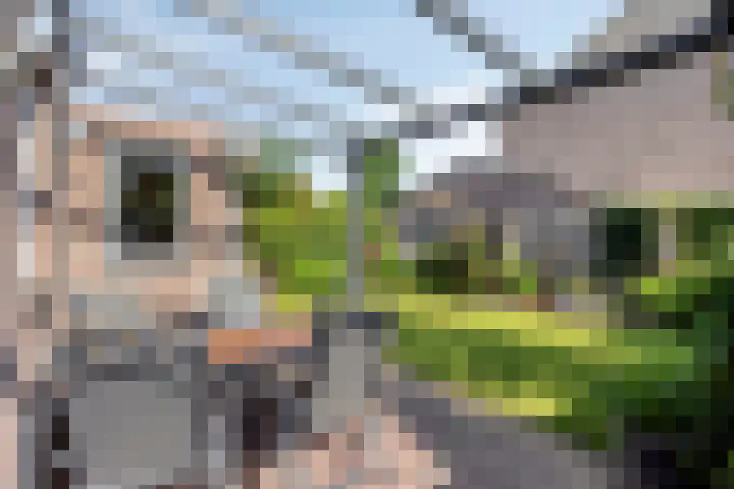Vlinderstraat 93 Oss thumbnail 22