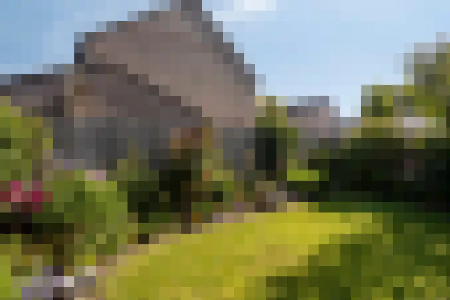 Vlinderstraat 93 Oss thumbnail 25