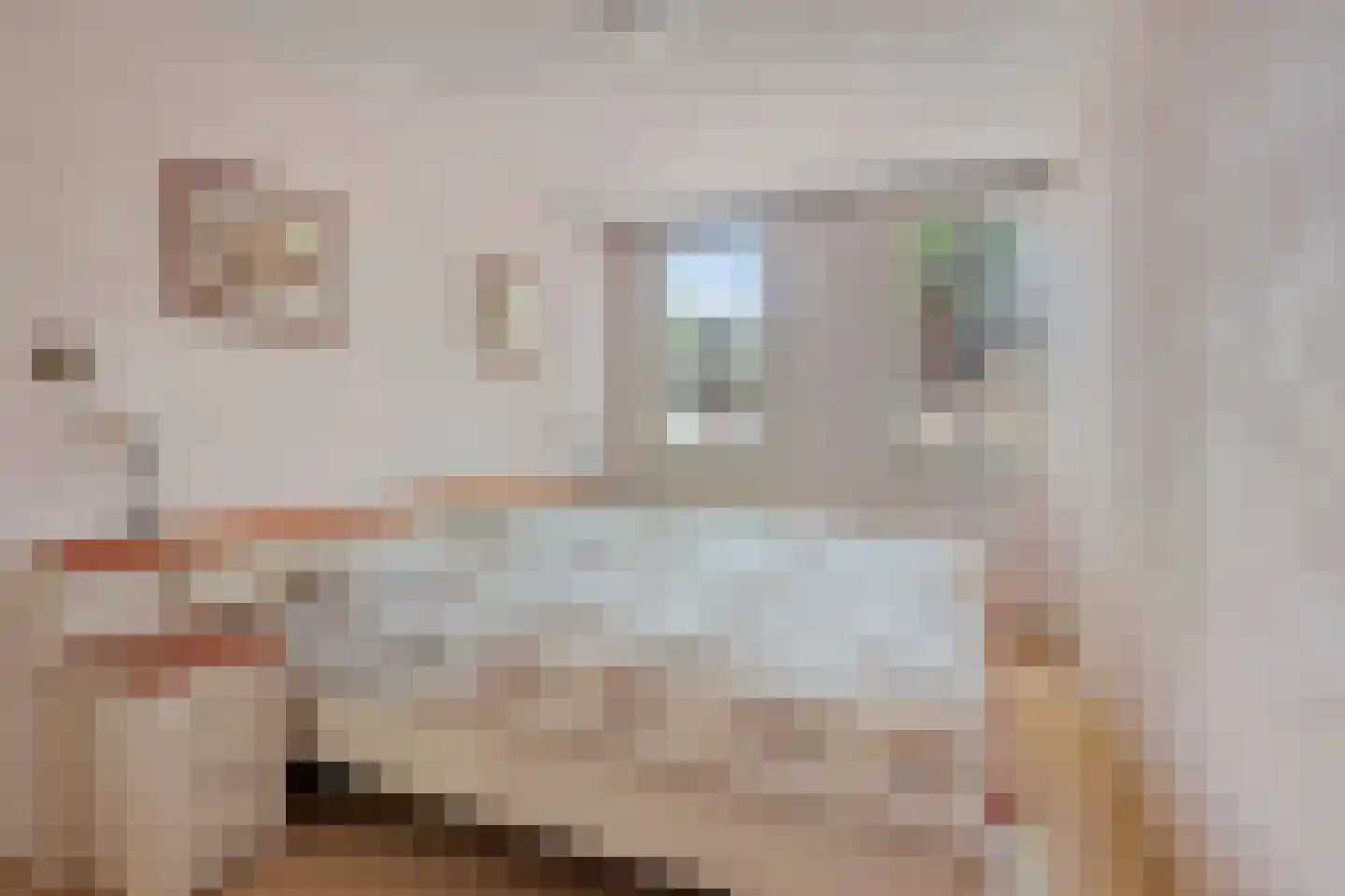 Vlinderstraat 93 Oss thumbnail 9