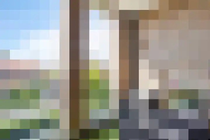 Vlindertuin 17 Veenendaal thumbnail 11