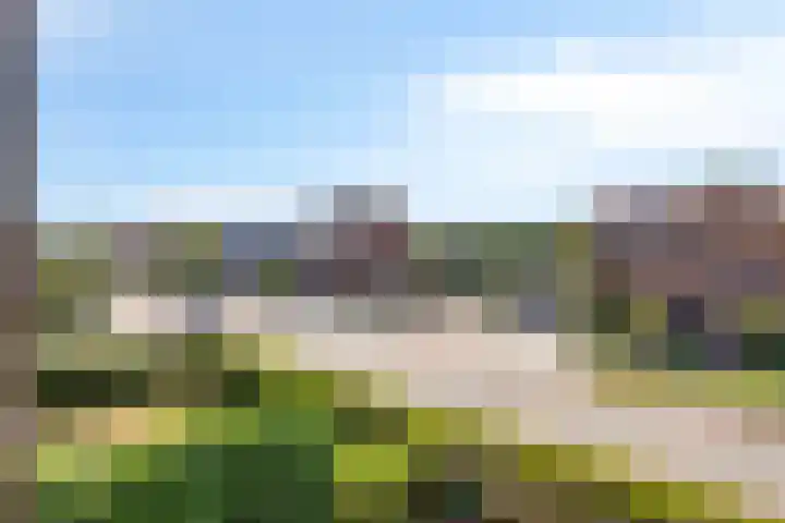 Vlindertuin 17 Veenendaal thumbnail 12