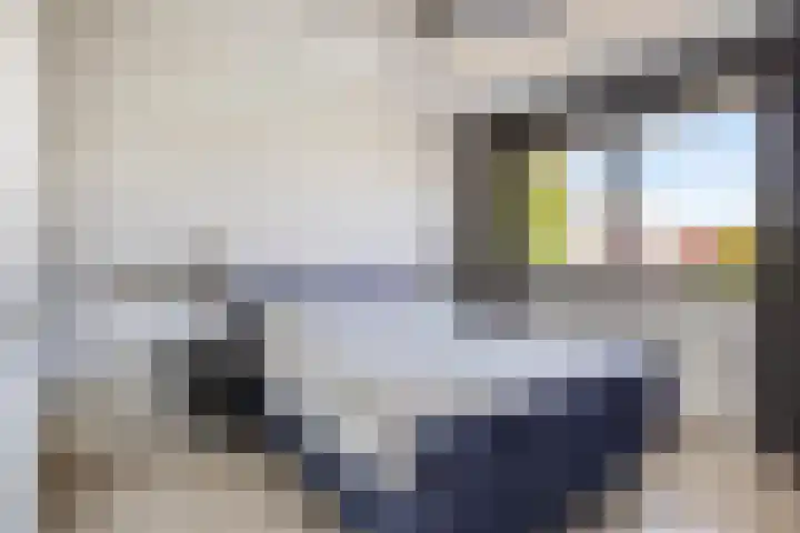 Vlindertuin 17 Veenendaal thumbnail 13
