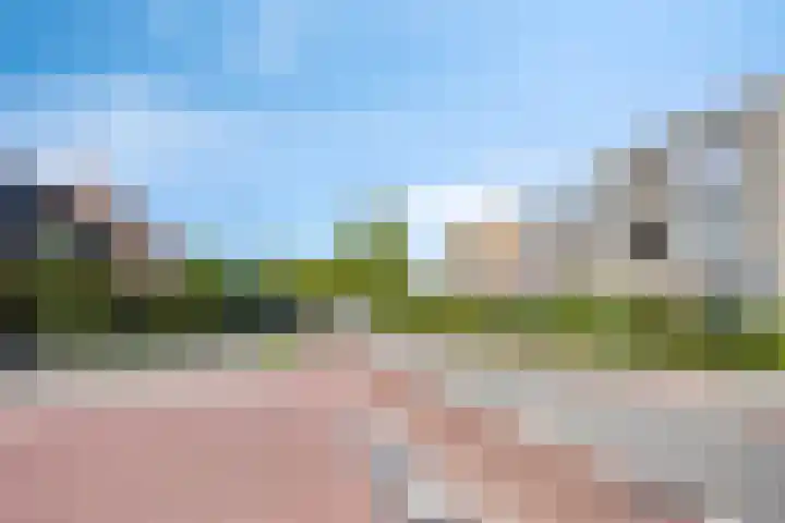 Vlindertuin 17 Veenendaal thumbnail 20