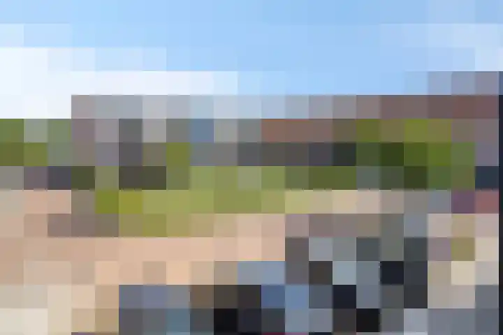 Vlindertuin 17 Veenendaal thumbnail 21