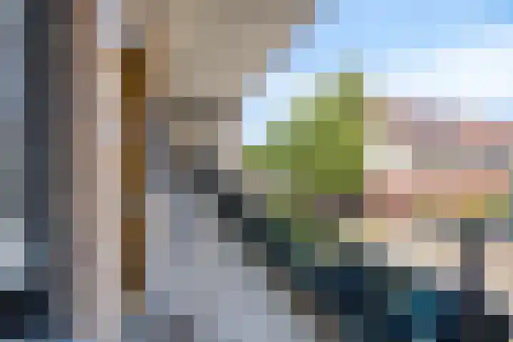 Vlindertuin 17 Veenendaal thumbnail 4