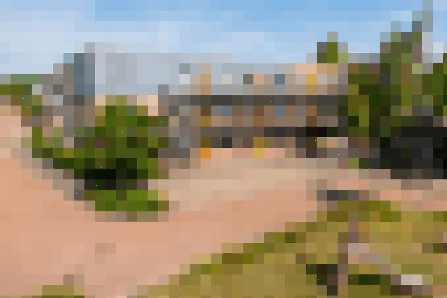 Vlindertuin 25 Veenendaal thumbnail 27
