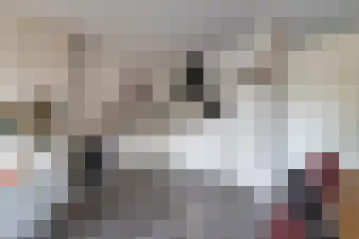 Vlindertuin 26 Veenendaal thumbnail 10