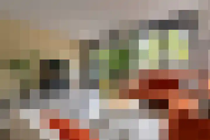 Vlindertuin 26 Veenendaal thumbnail 15