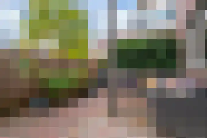 Vlindertuin 26 Veenendaal thumbnail 16