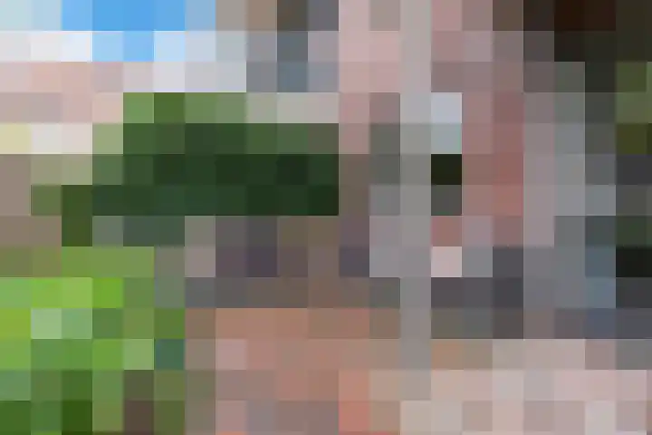 Vlindertuin 26 Veenendaal thumbnail 17
