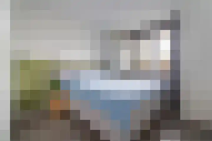 Vlindertuin 26 Veenendaal thumbnail 20