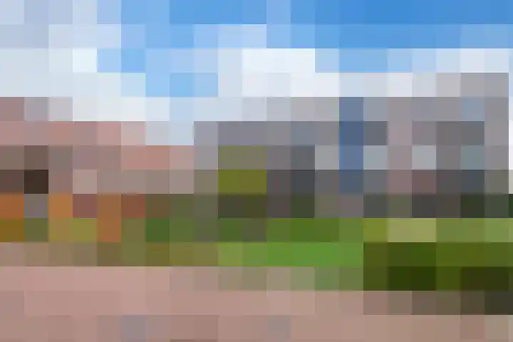 Vlindertuin 26 Veenendaal thumbnail 4