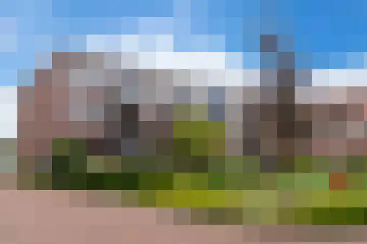 Vlindertuin 26 Veenendaal thumbnail 5