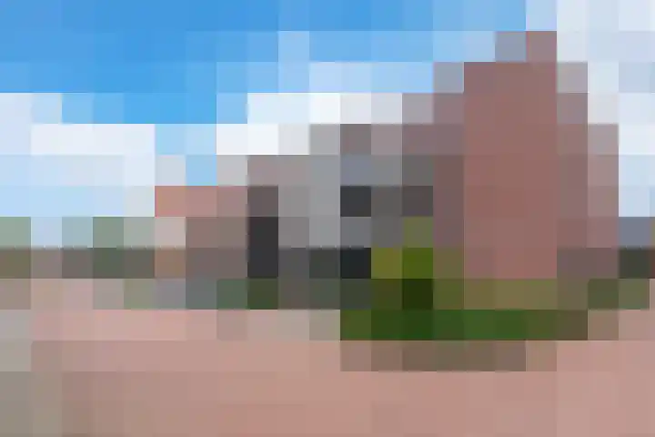 Vlindertuin 26 Veenendaal thumbnail 6