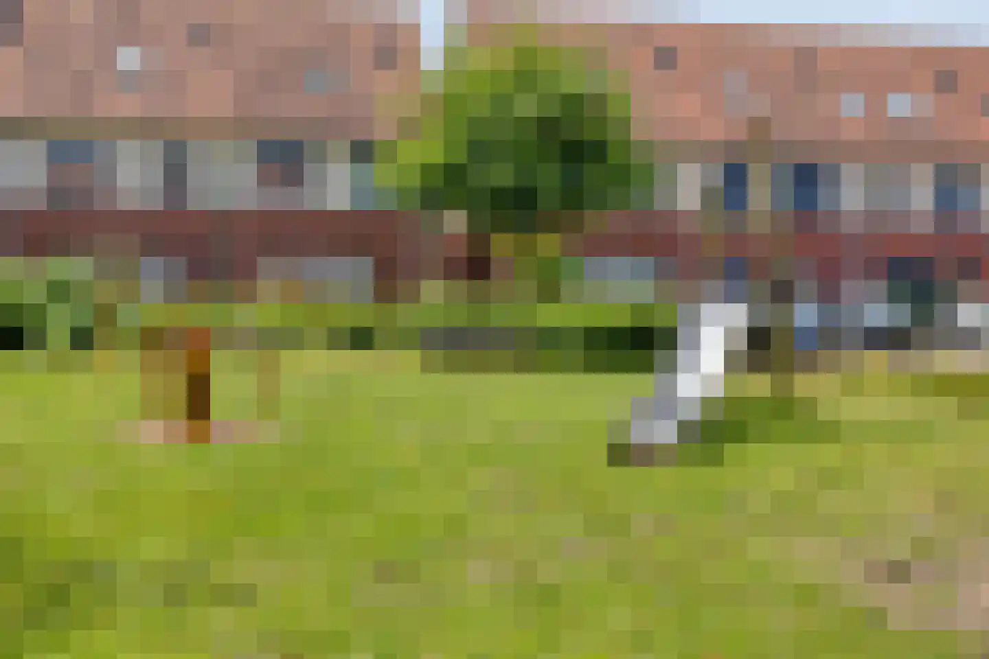 Vlindertuin 38 Veenendaal thumbnail 24