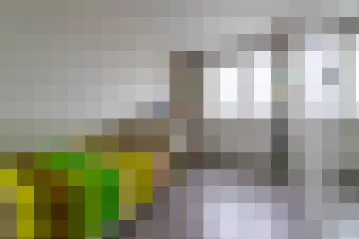Vlindertuin 42 Veenendaal thumbnail 12